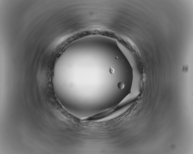 X0000091991112200709061413