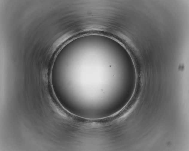 X0000091991113200709061413
