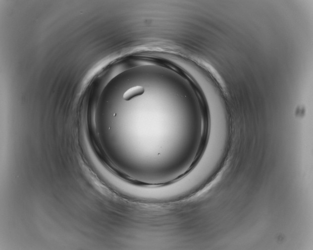 X0000091991114200709061413