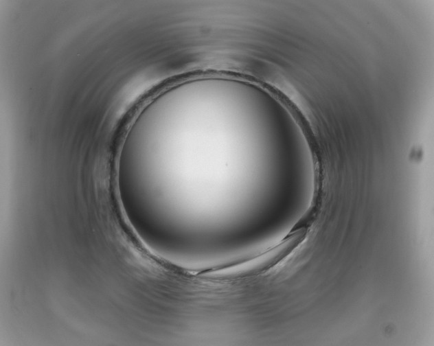 X0000091991115200709061413