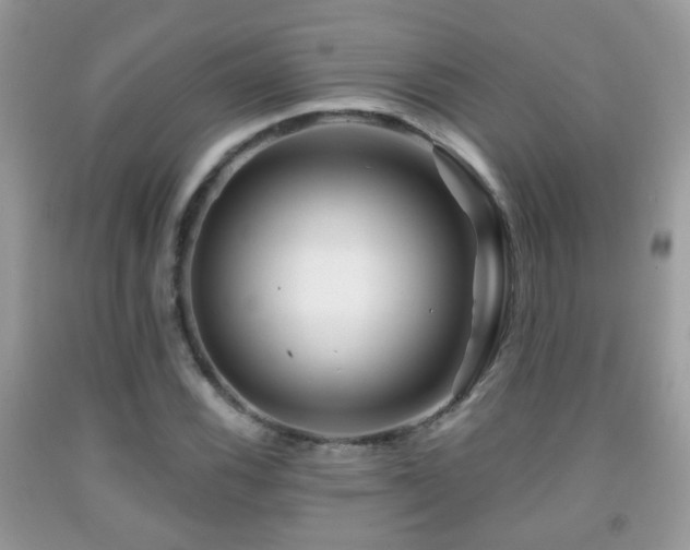 X0000091991116200709061413