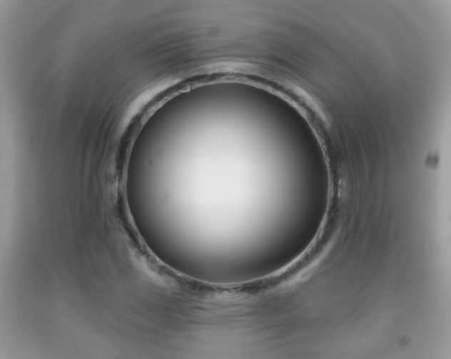 X0000091991117200709061413