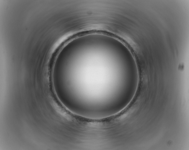 X0000091991118200709061413
