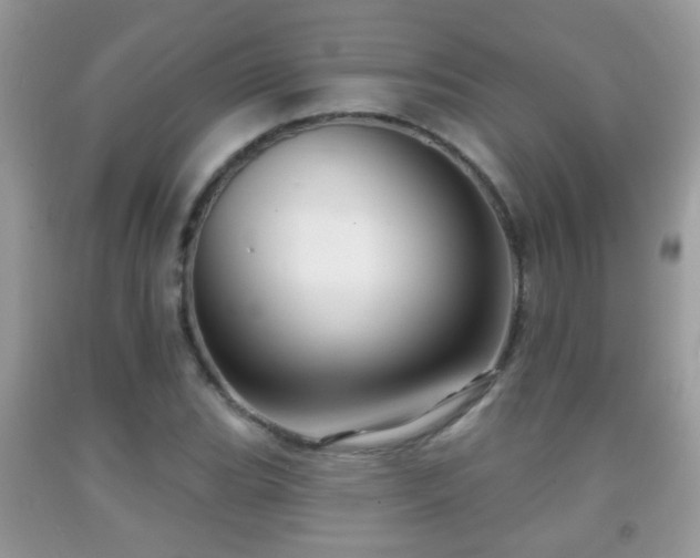 X0000091991119200709061413