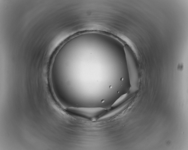 X0000091991120200709061413