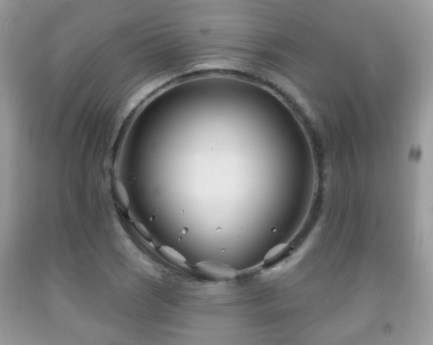 X0000091991121200709061413