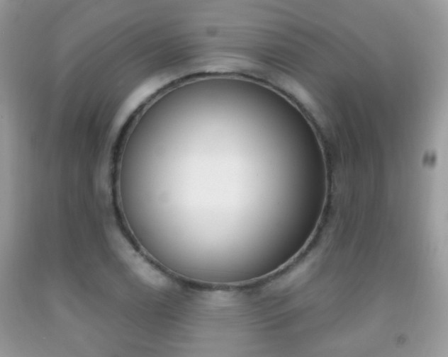X0000091991122200709061413