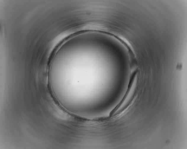 X0000091991123200709061413