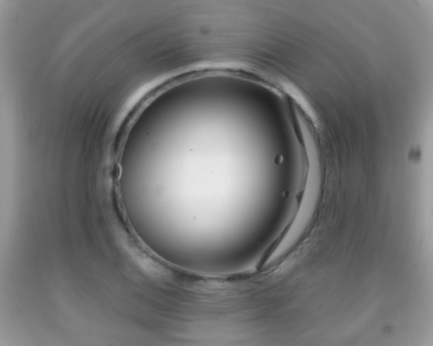 X0000091991124200709061413