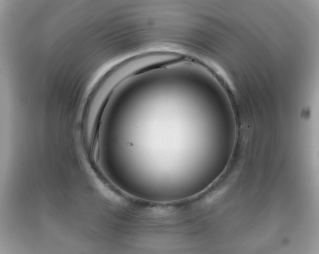 X0000091991125200709061413