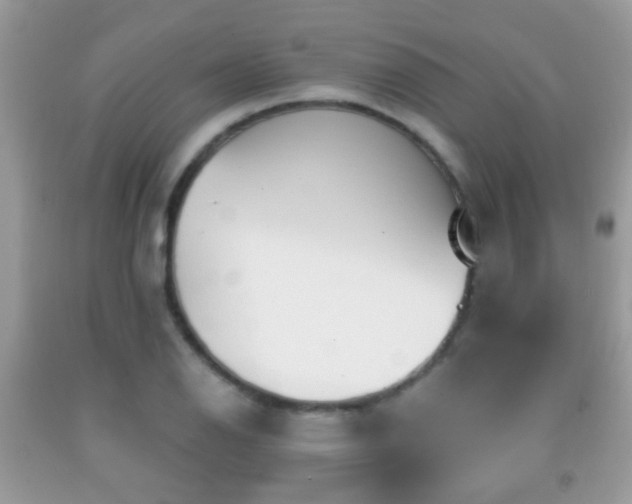 X0000091991126200709061413