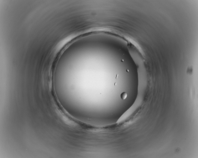 X0000091991127200709061413