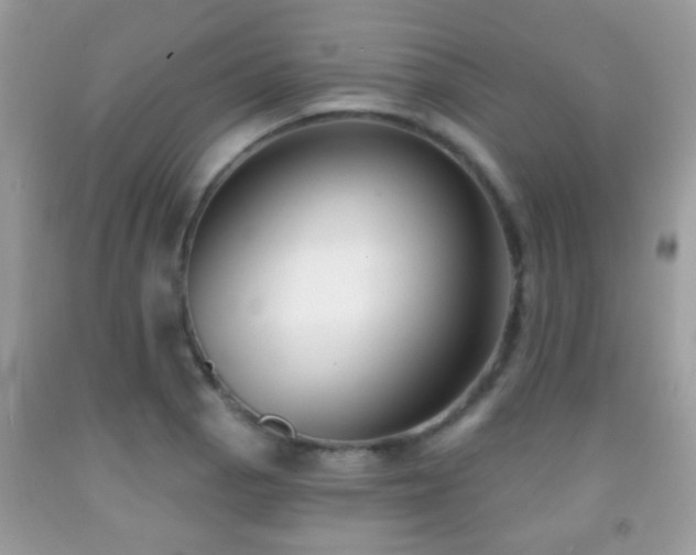 X0000091991129200709061413