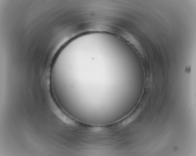 X0000091991130200709061413