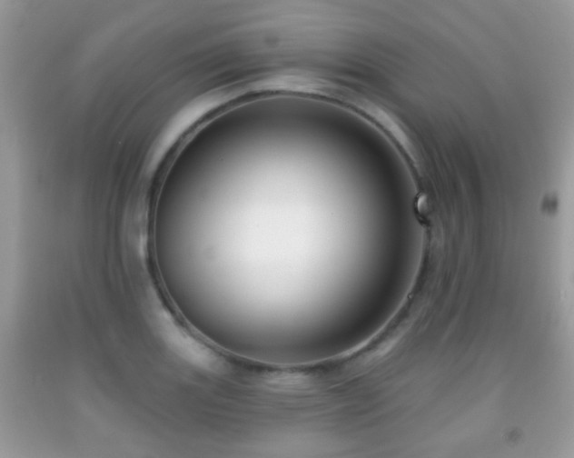X0000091991131200709061413