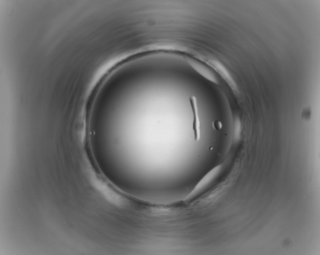 X0000091991132200709061413