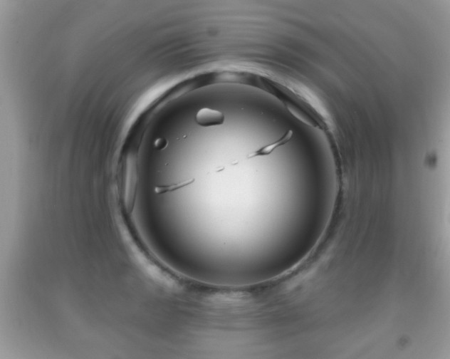 X0000091991133200709061413