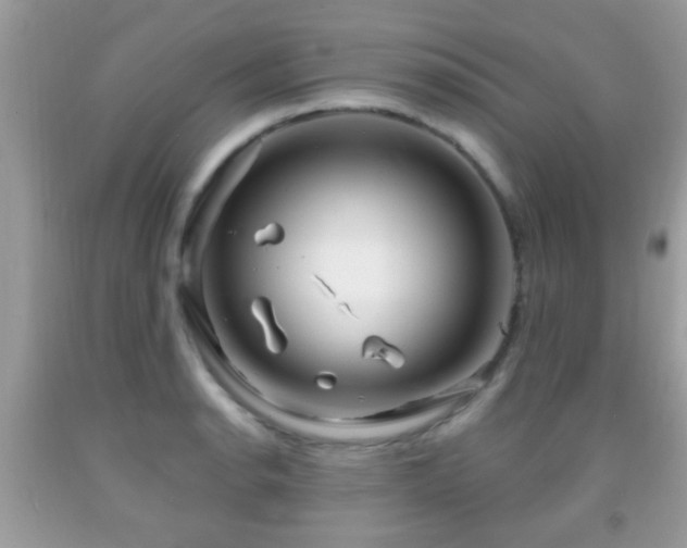 X0000091991134200709061413