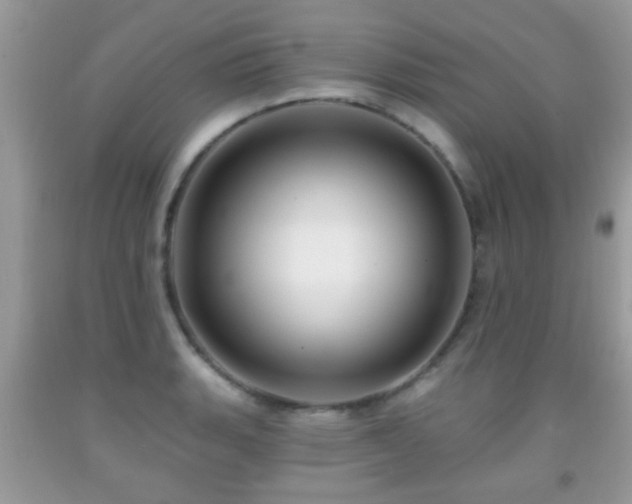 X0000091991135200709061413