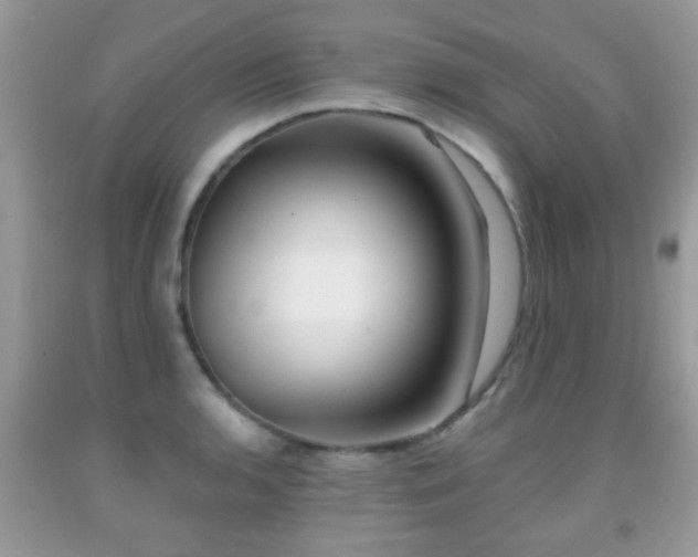 X0000091991136200709061413