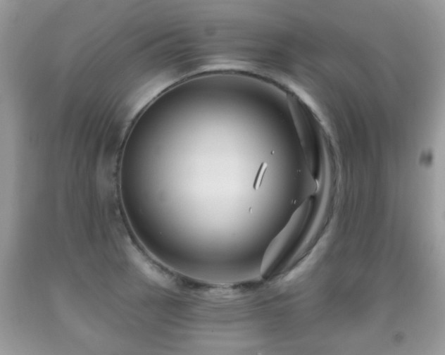 X0000091991137200709061413