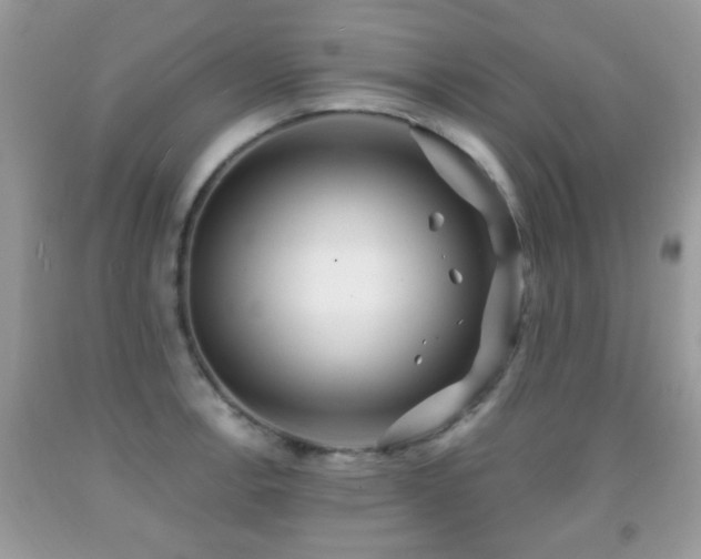 X0000091991138200709061413