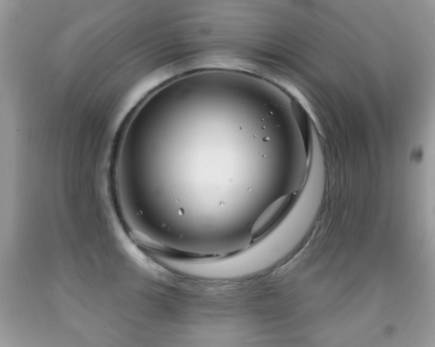 X0000091991139200709061413