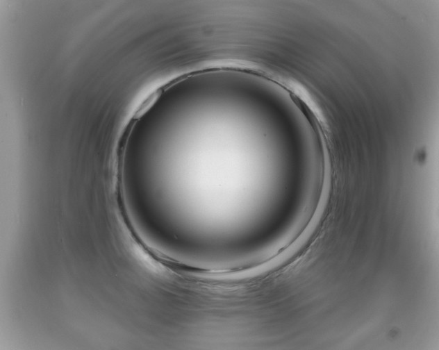 X0000091991140200709061413