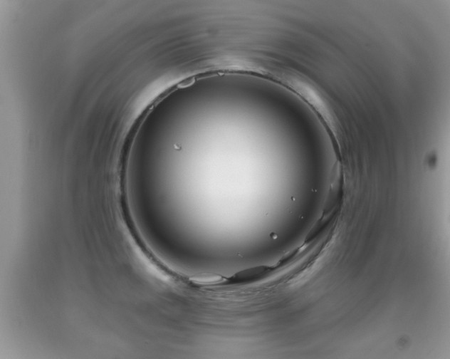 X0000091991141200709061413