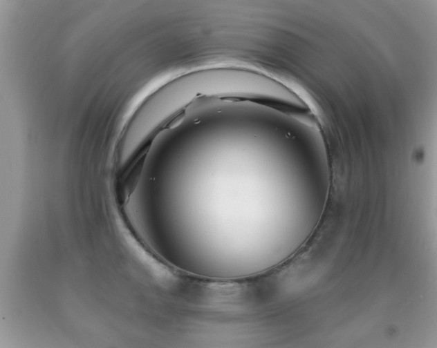 X0000091991142200709061413