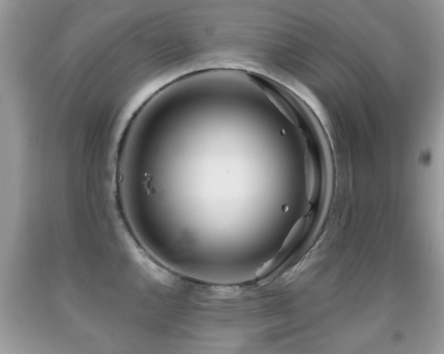 X0000091991144200709061413