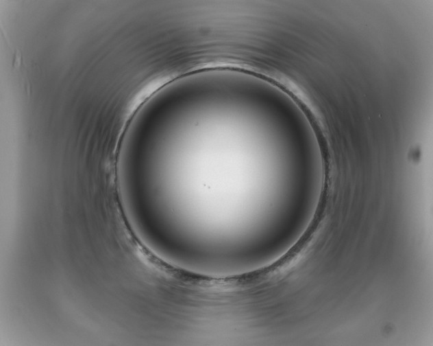 X0000091991145200709061413