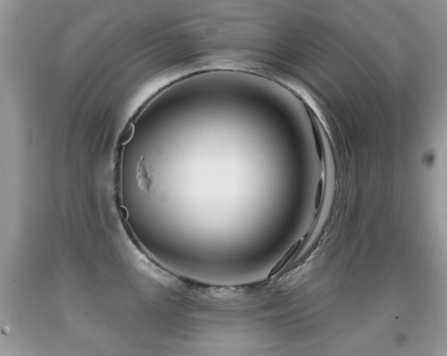 X0000091991147200709061413