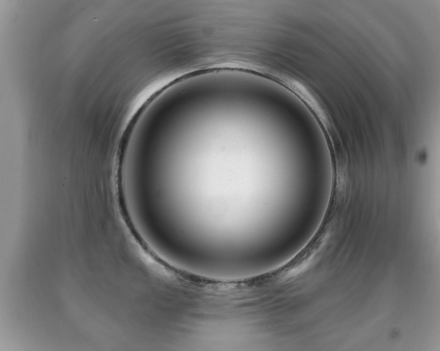 X0000091991149200709061413