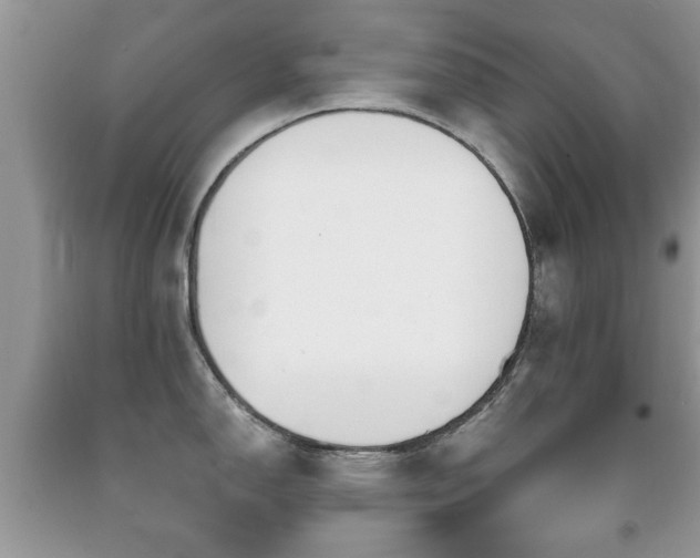 X0000091991150200709061413