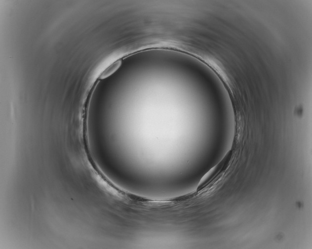X0000091991151200709061413