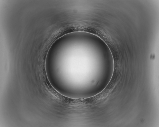 X0000091991153200709061412