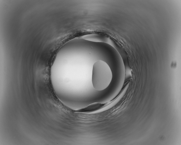 X0000091991156200709061412