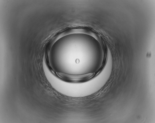 X0000091991157200709061412