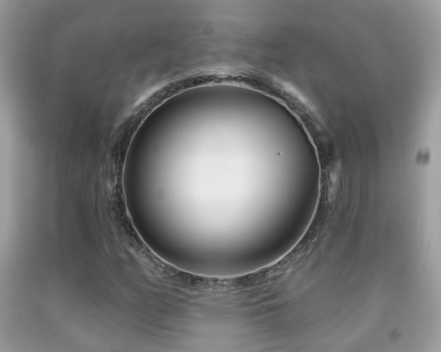 X0000091991158200709061412