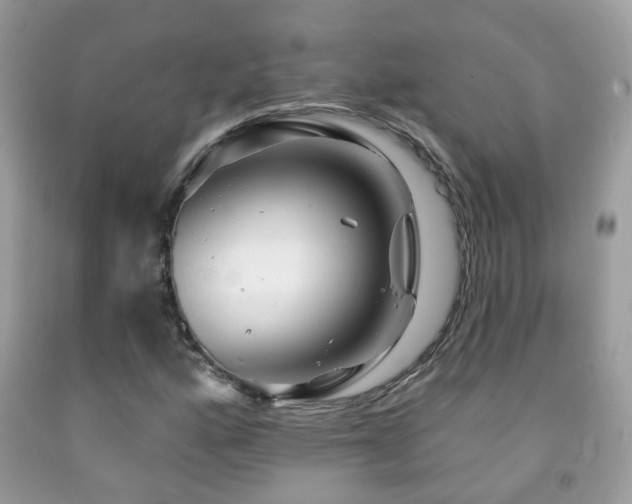X0000091991160200709061412
