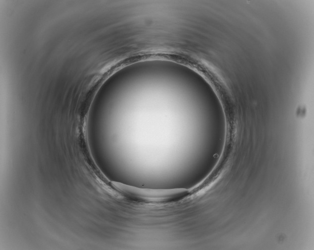 X0000091991161200709061412