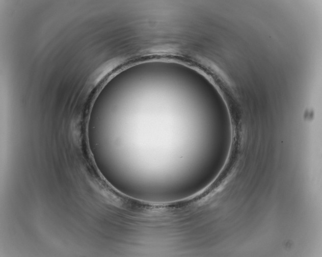X0000091991162200709061412