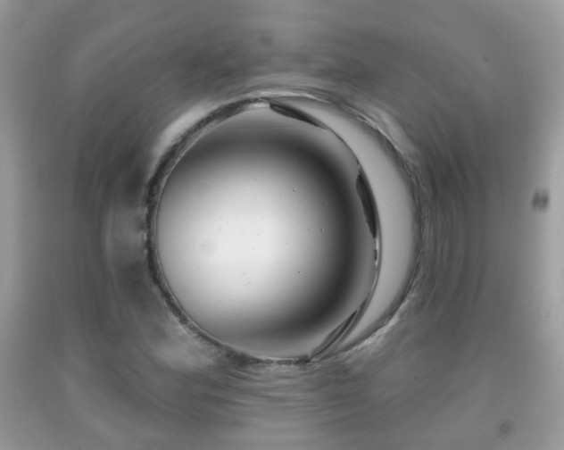X0000091991164200709061412