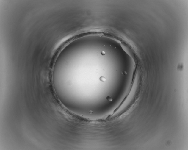 X0000091991166200709061412