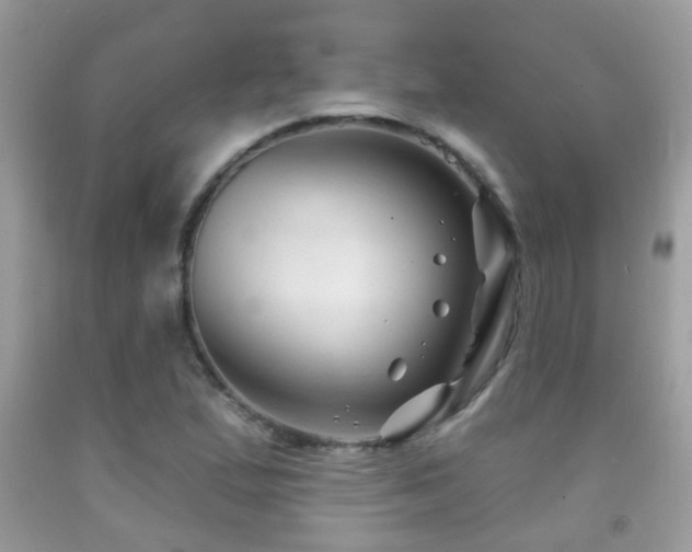 X0000091991167200709061412