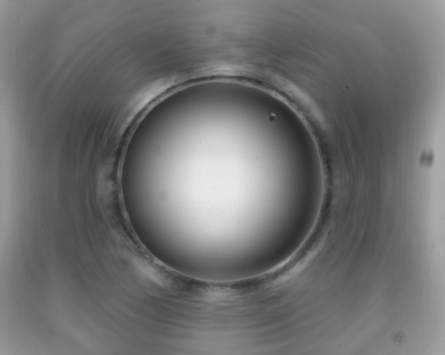 X0000091991170200709061412