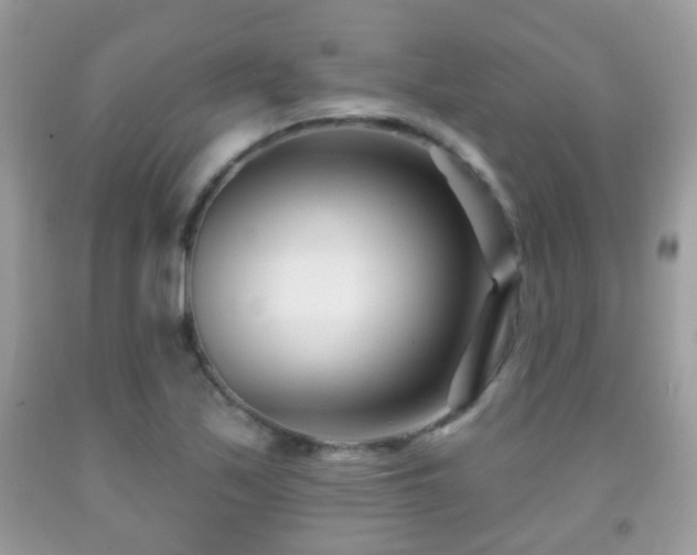 X0000091991171200709061412