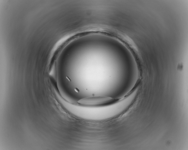X0000091991172200709061412