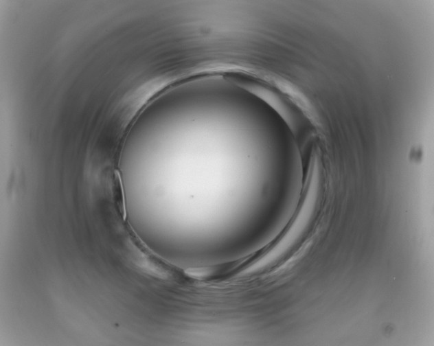 X0000091991177200709061412